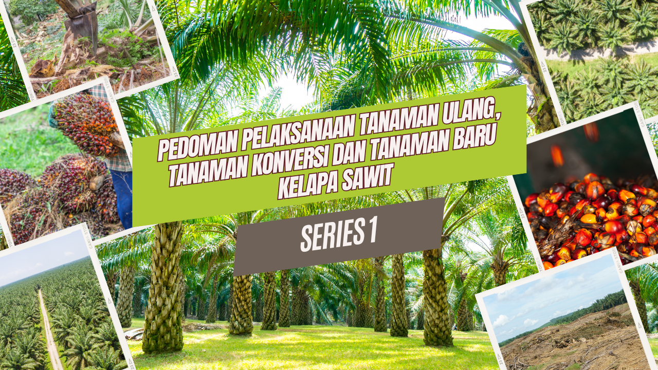 Pedoman Perencanaan, Pengkajian dan Pelaksanaan Tanam Ulang, Tanam Konversi dan Tanam Baru Kelapa Sawit - Series I